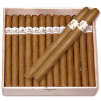 50 cigares Extra-Légers clair, présses, en carton