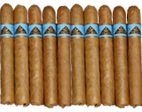 10 Top Cigar hell. maximal 2x pro Kunde zum Spezialpreis und solange Vorrat