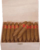 36 cigares Torpedo (Huifkar) en coffret