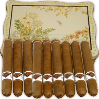 40 NEUE Fresh Cigar clair en cellophane