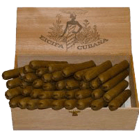 40 Cubana hell, leicht gepresst im Holzkistli