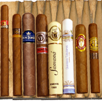 Exklusives Importcigarren-Sortiment mit 8 Cigarren