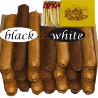 22 black & white helle und dunkle Cigarren