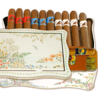23 helle Cigarren in Blüemli-Dose