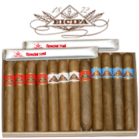 26 helle Eicifa-Cigarren Sortiment "Frieda" im braunen Kartonkistli