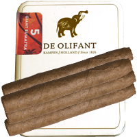 5 De Olifant Giant Sumatra cigarillos